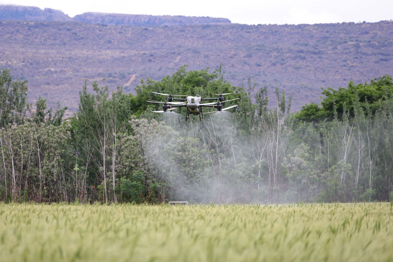 An agricultural spray drone at work over a crop field
